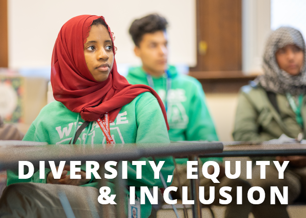 Diversity Equity and Inclusion